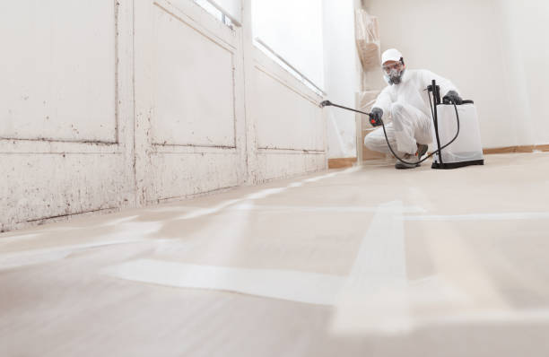 24/7 Emergency Black Mold Removal experts in Golf, IL